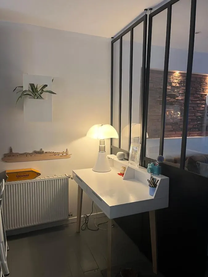 Maison Piscine Centre Ville Toulouse Hébergement de vacances