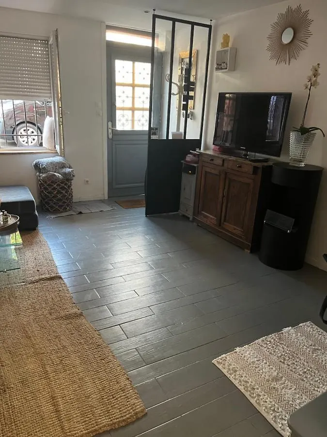Maison Piscine Centre Ville Toulouse Holiday home